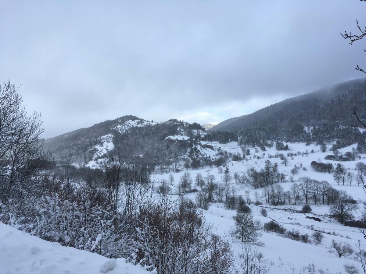 Entre L'Eglise Et La Place Villa Quillan Eksteriør billede